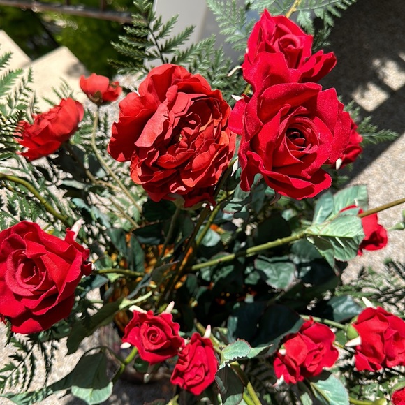 Roses - Picture 4 of 4